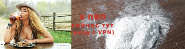 твердый Абаза
