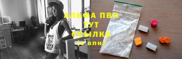 твердый Абаза