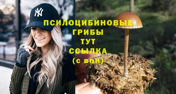 твердый Абаза