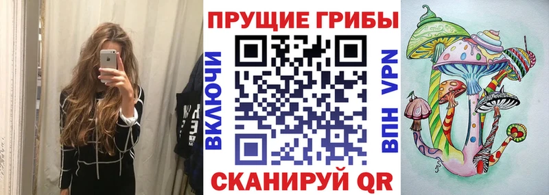 цена наркотик  Подпорожье  Галлюциногенные грибы мухоморы 